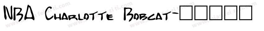 NBA Charlotte Bobcat字体转换
